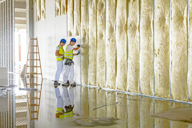 Best Insulation Materials and Products in Thompson Falls, MT
